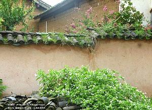 143 - Shaxi